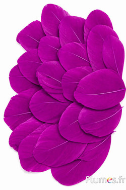 Petali in piume - 6-8 x 3-4 cm - melanzana